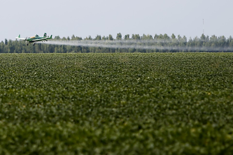 Voo do agronegócio é fruto da constante qualificação e  atuação dos profissionais ligados à agropecuária. | Albari Rosa/Gazeta do Povo