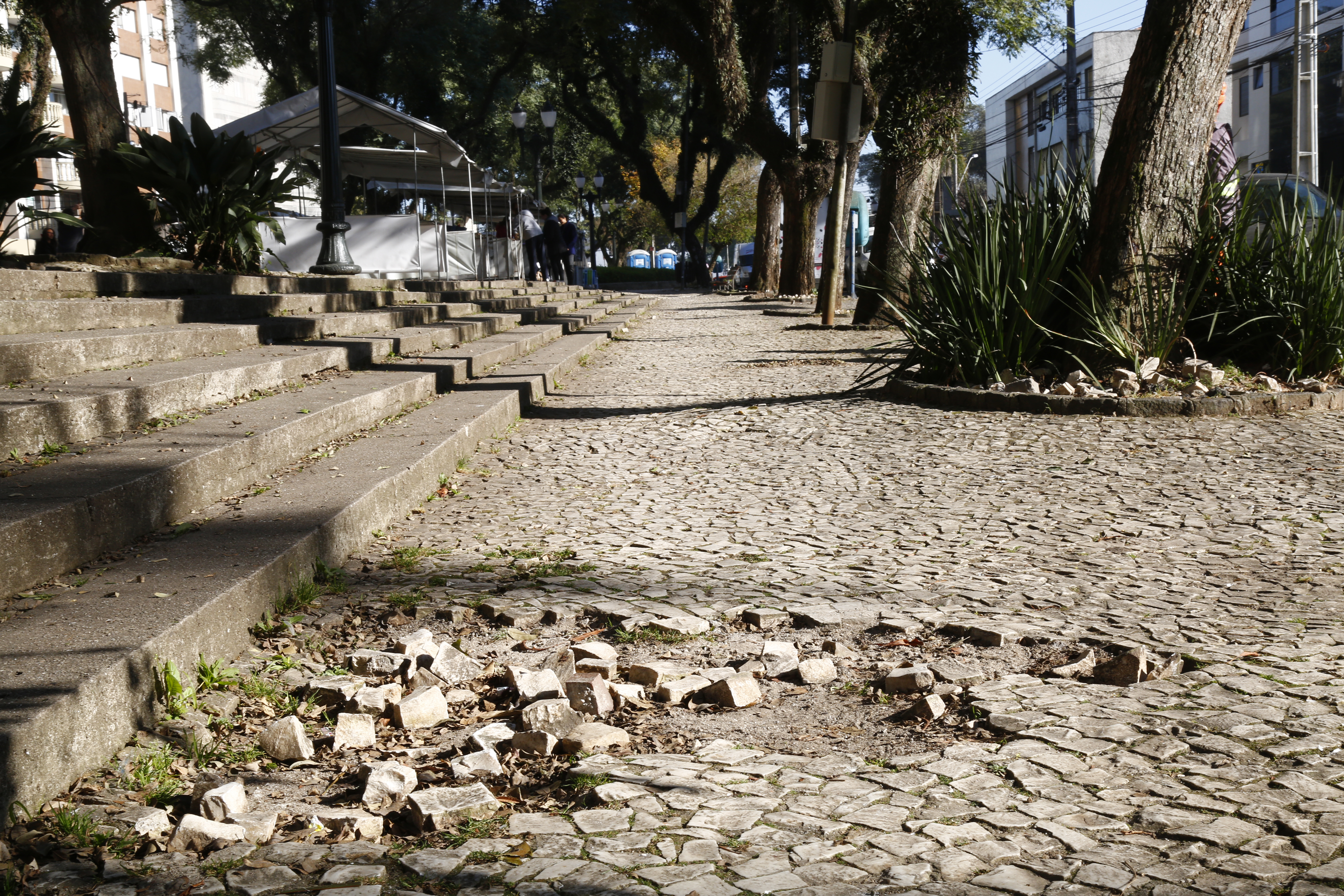 | Aniele Nascimento/Gazeta do Povo