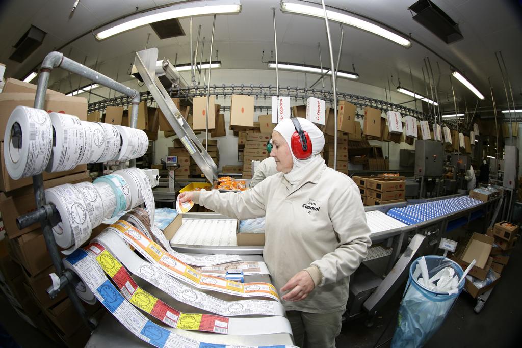  | Giuliano Gomes    /    Gazeta do Povo