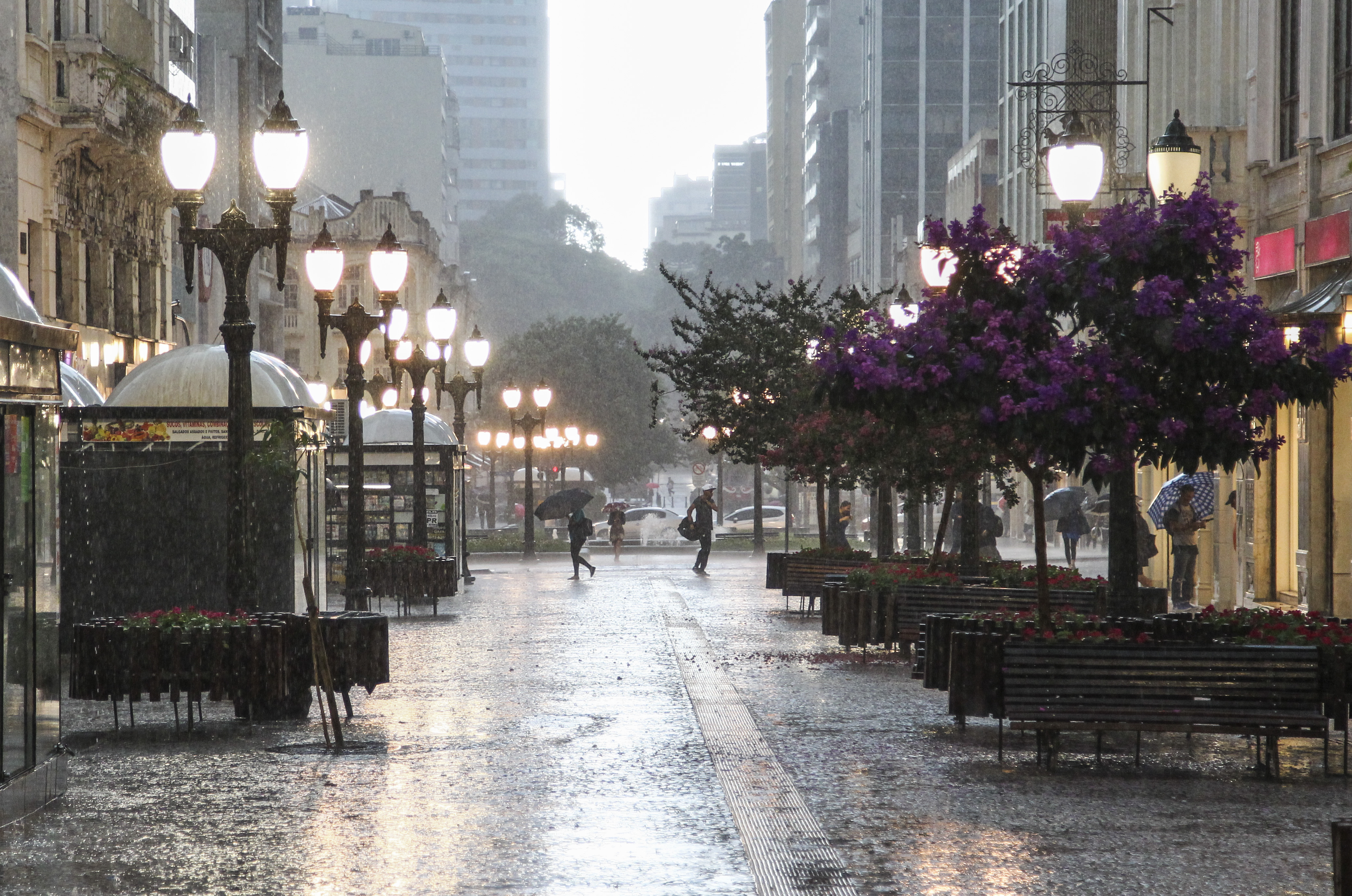 | Daniel Castellano/Gazeta do Povo/Arquivo