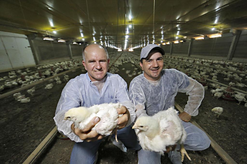 Luiz Carlos e Luciano Miotto, cooperados da C.Vale: frango é segurança de renda  | Albari Rosa/Gazeta do Povo