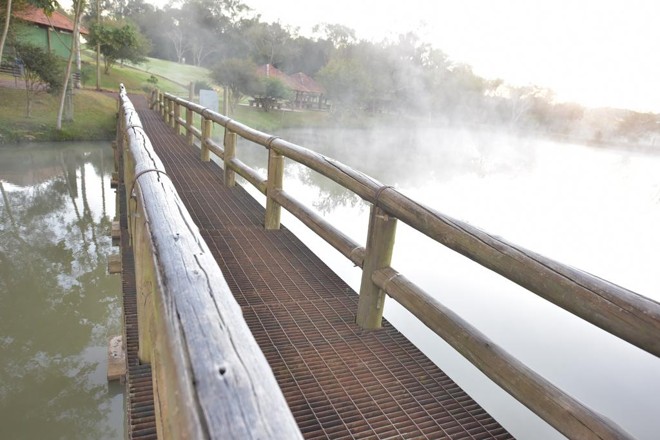 Reserva Biológica São Camilo, interior do município de Palotina (PR). | Renato Tadeu Pereira