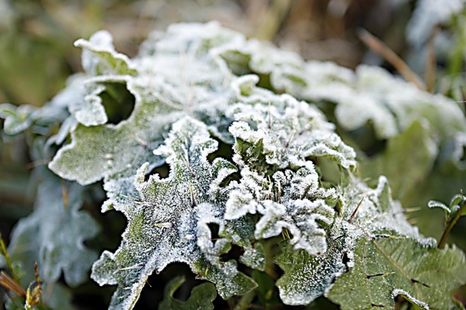 Registro fotográfico feito pela Expedição Avicultura em Concórdia, Santa Catarina | Albari Rosa/Gazeta do Povo