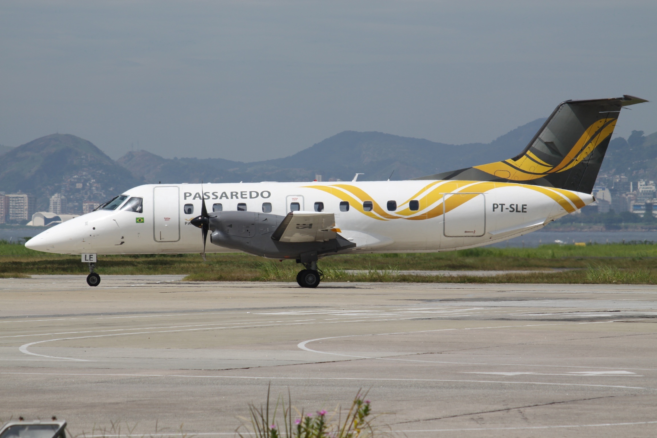 | /Wikimedia Commons