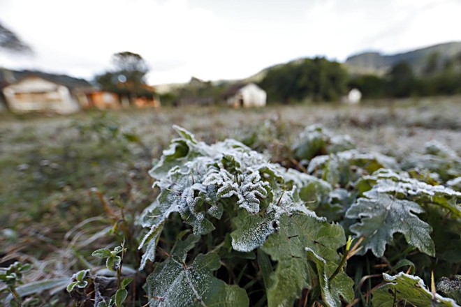 Registro fotográfico feito pela Expedição Avicultura em Concórdia, Santa Catarina | Albari Rosa/Gazeta do Povo