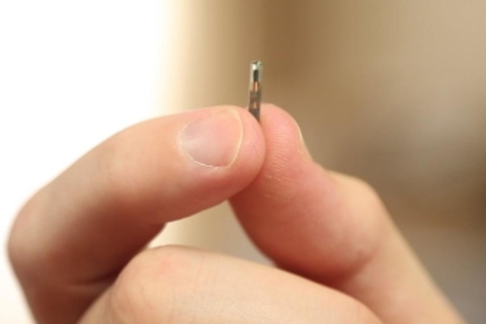 Do tamanho de um grão de arroz, o chip usa a mesma tecnologia de outros dispositivos de pagamento móvel. | Reprodução
