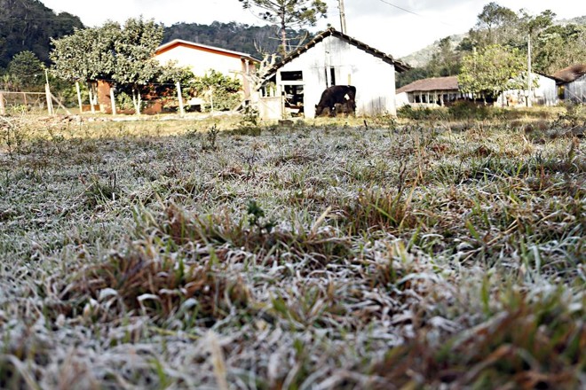 Registro fotográfico feito pela Expedição Avicultura em Concórdia, Santa Catarina | Albari Rosa/Gazeta do Povo