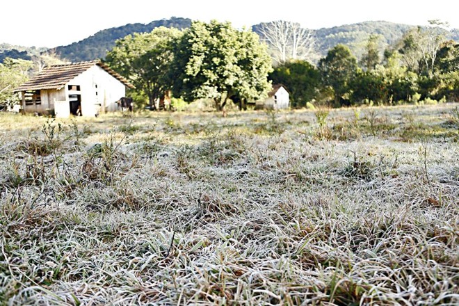 Registro fotográfico feito pela Expedição Avicultura em Concórdia, Santa Catarina | Albari Rosa/Gazeta do Povo