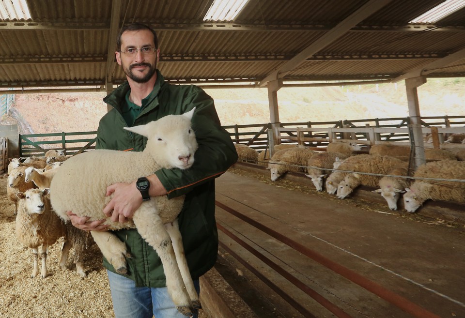 O zootecnista Michel Basso é um dos especialistas do Paraná na criação de ovinos | Giuliano Gomes/Gazeta do Povo