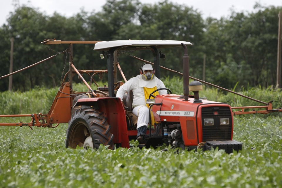 Quando o limite de um resíduo não estiver estipulado, nações devem observar as normas vigentes do código internacional Codex Alimentarius | Jonathan Campos/Gazeta do Povo