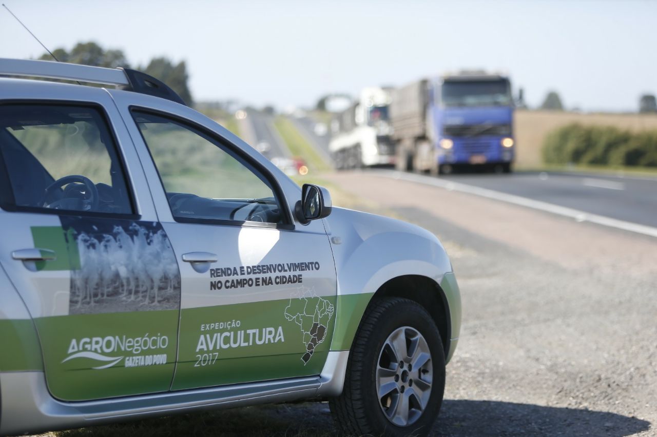 Expedição Avicultura percorre as principais regiões produtoras de aves do Brasil: Paraná, Santa Catarina, Rio Grande do Sul, São Paulo, Minas Gerais e Goiás. | Albari Rosa/Gazeta do Povo