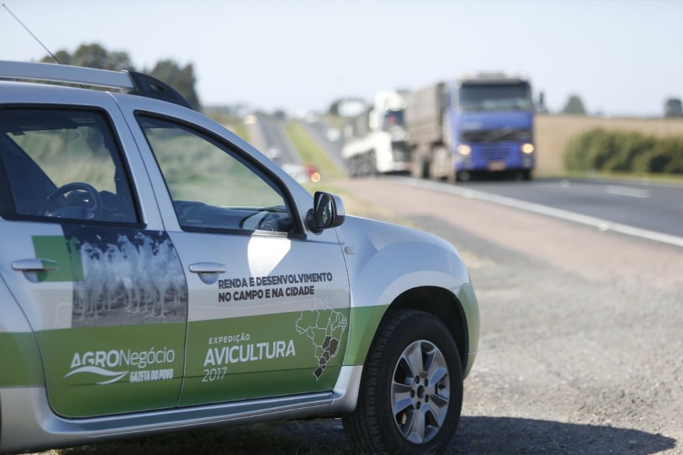 Expedição Avicultura percorre as principais regiões produtoras de aves do Brasil: Paraná, Santa Catarina, Rio Grande do Sul, São Paulo, Minas Gerais e Goiás. | Albari Rosa/Gazeta do Povo