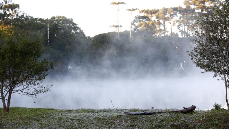 No interior, a previsão é de geada e temperaturas abaixo de zero | Aniele Nascimento/Gazeta do Povo