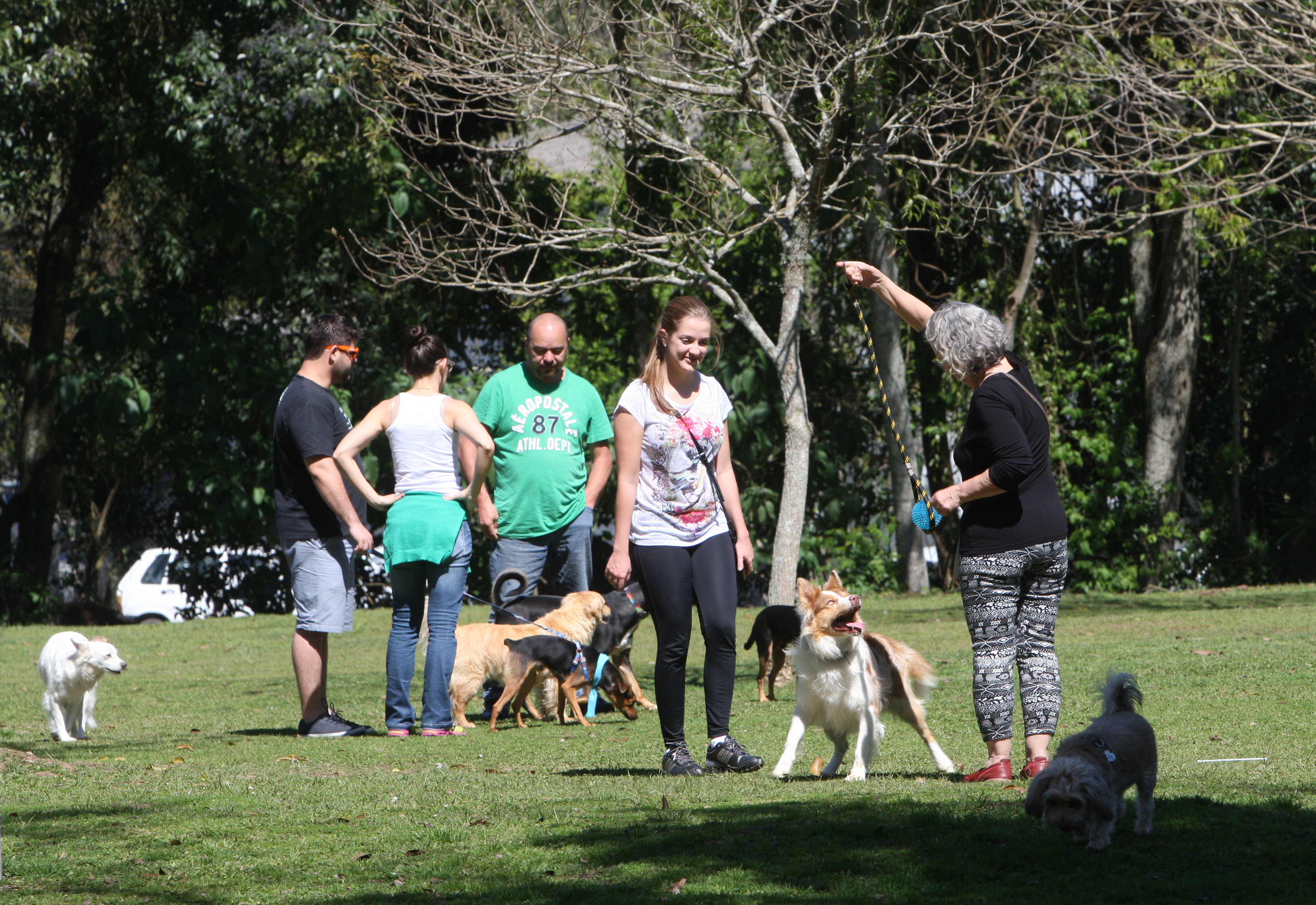 Fim de semana ainda vai ser de sol e calor em todo o Paraná | Aniele Nascimento/Gazeta do Povo