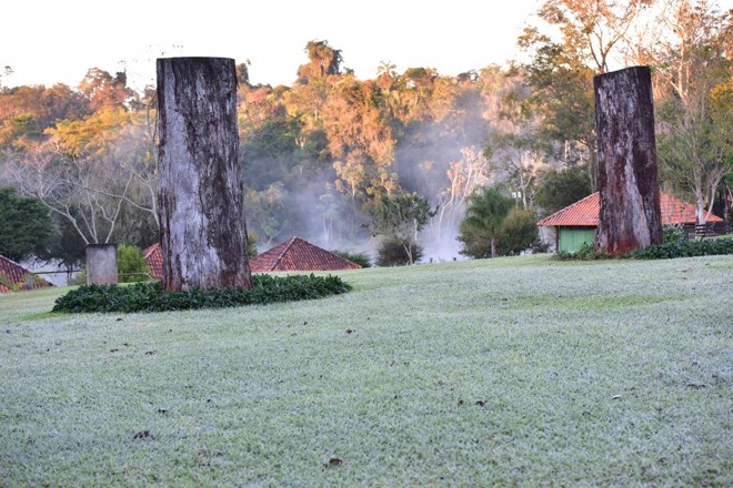 Reserva Biológica São Camilo, interior do município de Palotina (PR). | Renato Tadeu Pereira/C. Vale