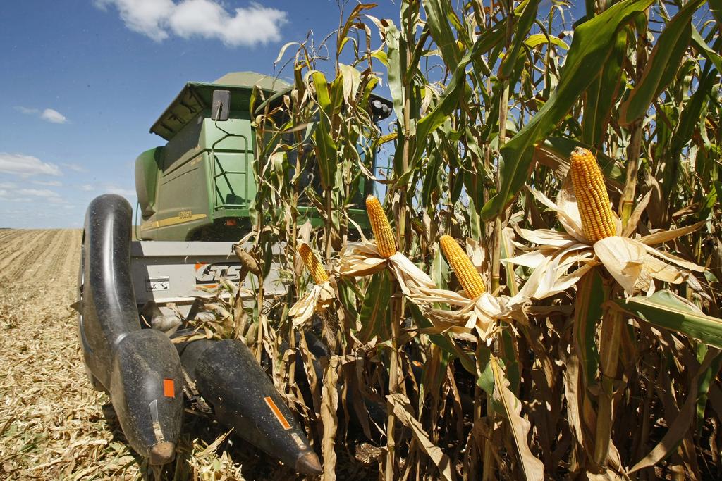 Volume de crédito para custeio e comercialização é de R$ 150,25 bilhões, sendo R$ 116,25 bilhões com juros controlados e R$ 34 bilhões com juros livres | Hugo Harada/Gazeta do Povo
