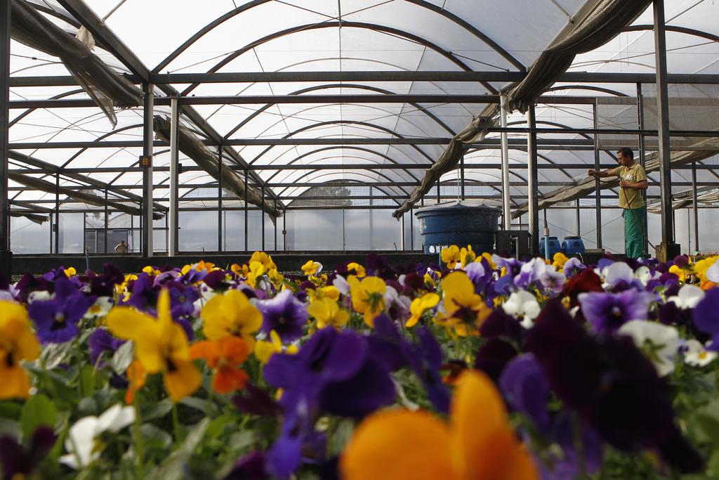 | Daniel Caron/Gazeta do Povo