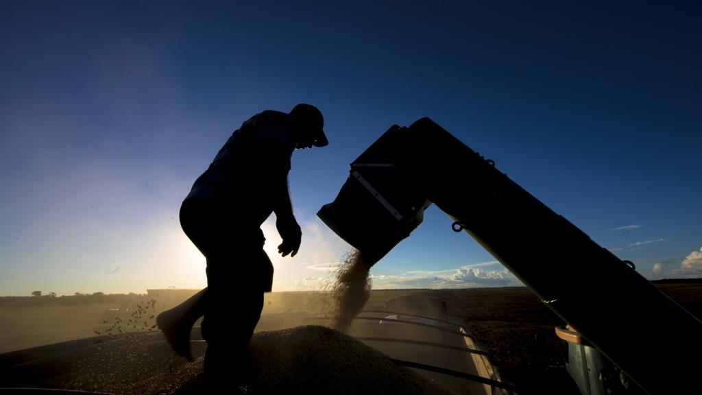 O valor da produção de soja, de R$ 115,6 bilhões, corresponde a 31,4% do VBP total. | Lineu Filho/Gazeta do Povo