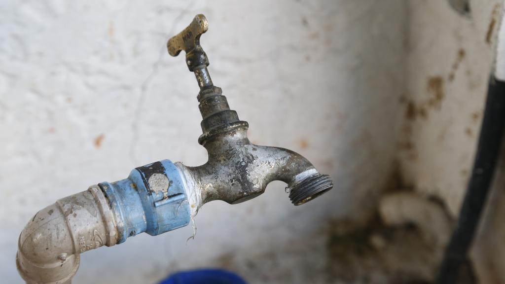 | Alexandre Mazzo/Gazeta do Povo