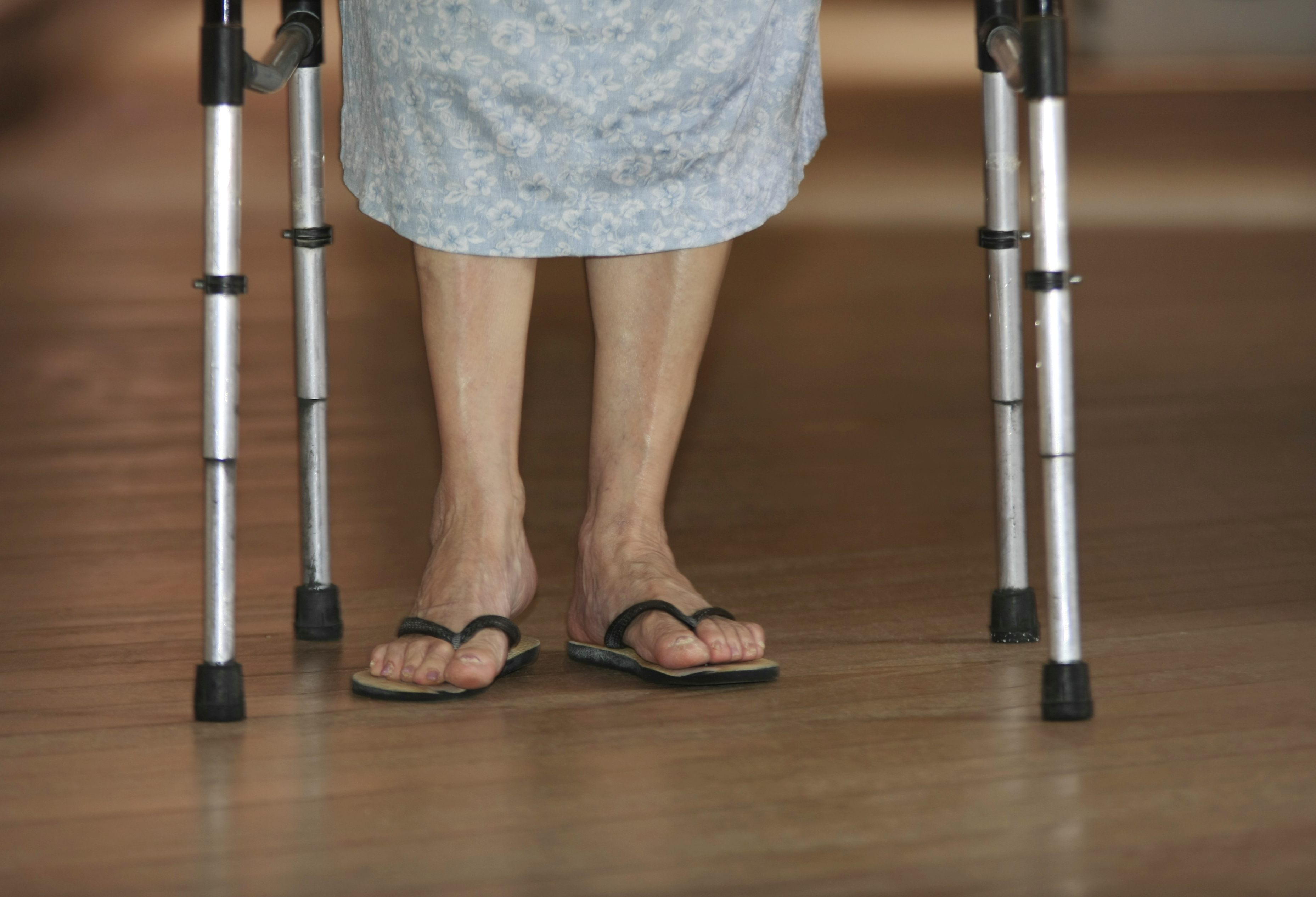 Responsável pelo abrigo foi autuada em flagrante | Giuliano Gomes/Gazeta do Povo/Arquivo