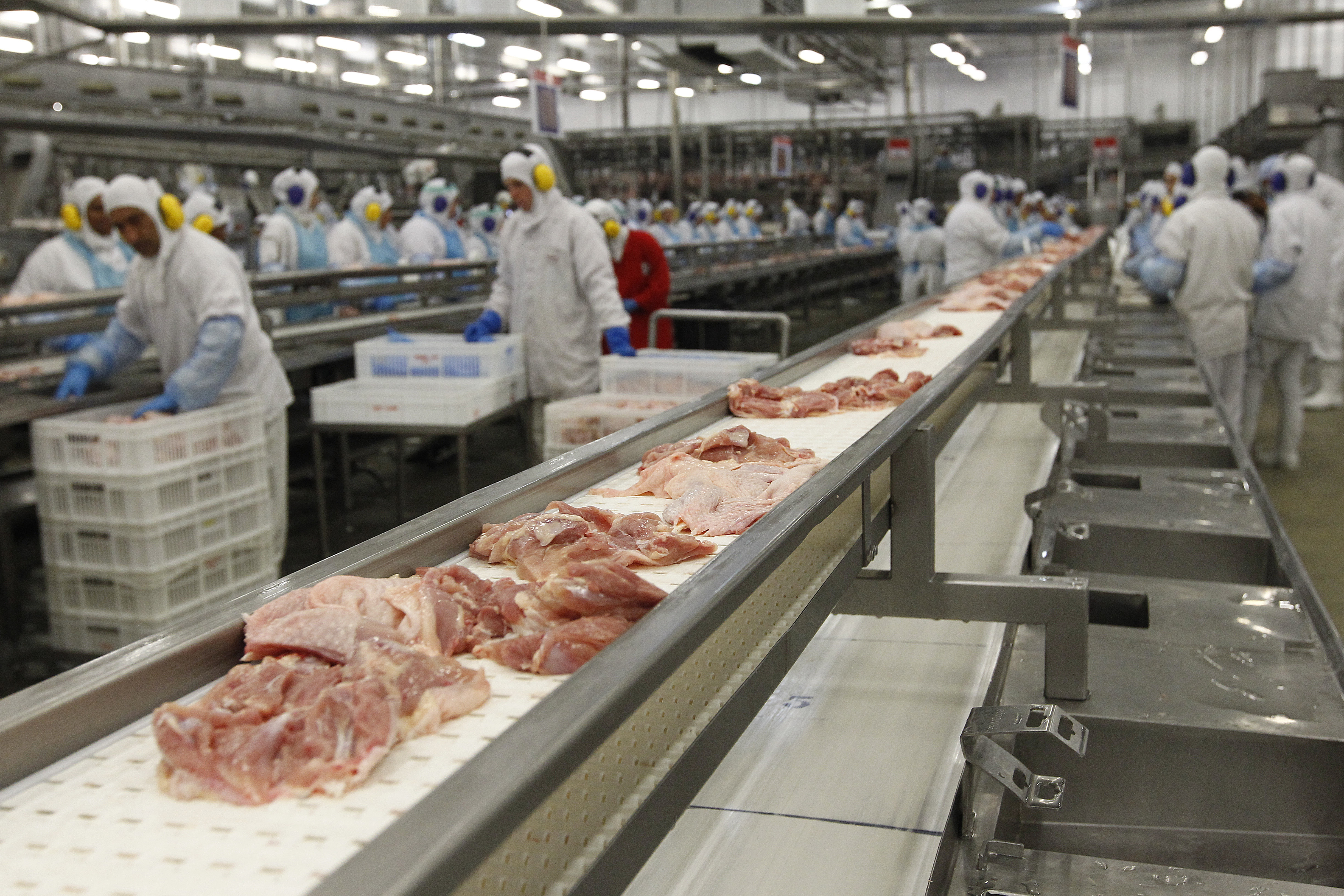 Sem mencionar os escândalos de corrupção especificamente, Wesley Batista, afirmou que “este foi um período desafiador para a companhia”. | Jonathan Campos/Gazeta do Povo