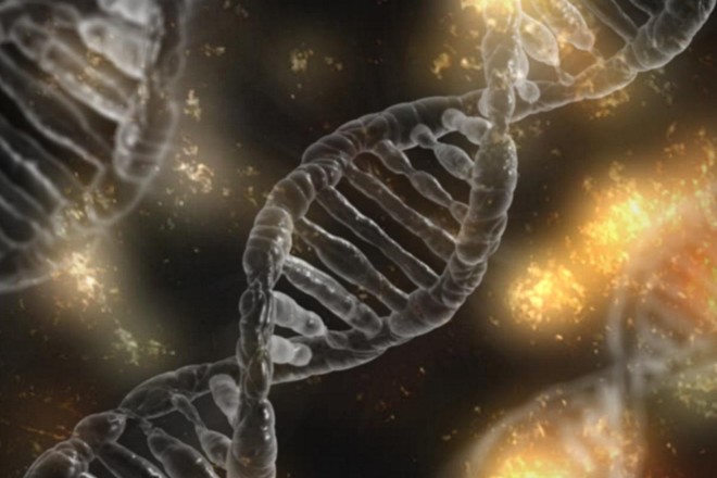 DNA: edição genética ainda desperta inúmeras controvérsias | Pixabay