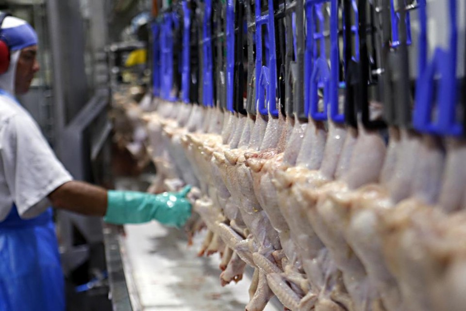O Ministério do Comércio da China disse, em nota publicada no site da pasta, estar investigando denúncias de dumping relacionadas à importação de frango do Brasil. | Albari Rosa/Gazeta do Povo