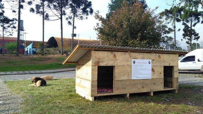 A casinha de madeira foi preparada para abrigar os cães que se escondiam na Unidade de Pronto Atendimento (UPA) do Pinheirinho | Raquel Derevecki/Gazeta do Povo