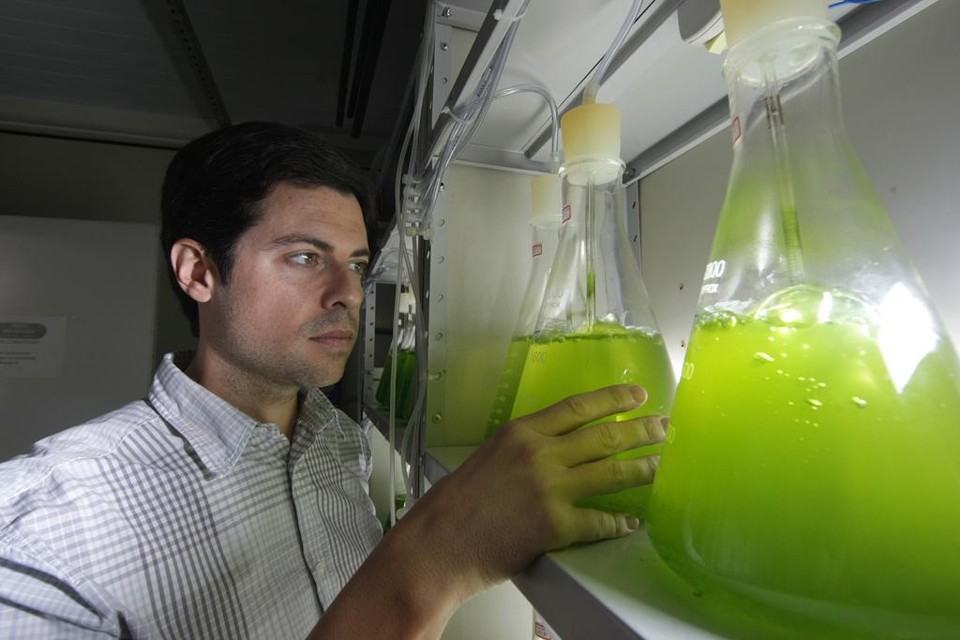 Pesquisa de microalgas realizada  na Universidade Federal do Paraná (UFPR), conduzida pelo  doutor André  Bellin Mariano | Arquivo/Gazeta do Povo