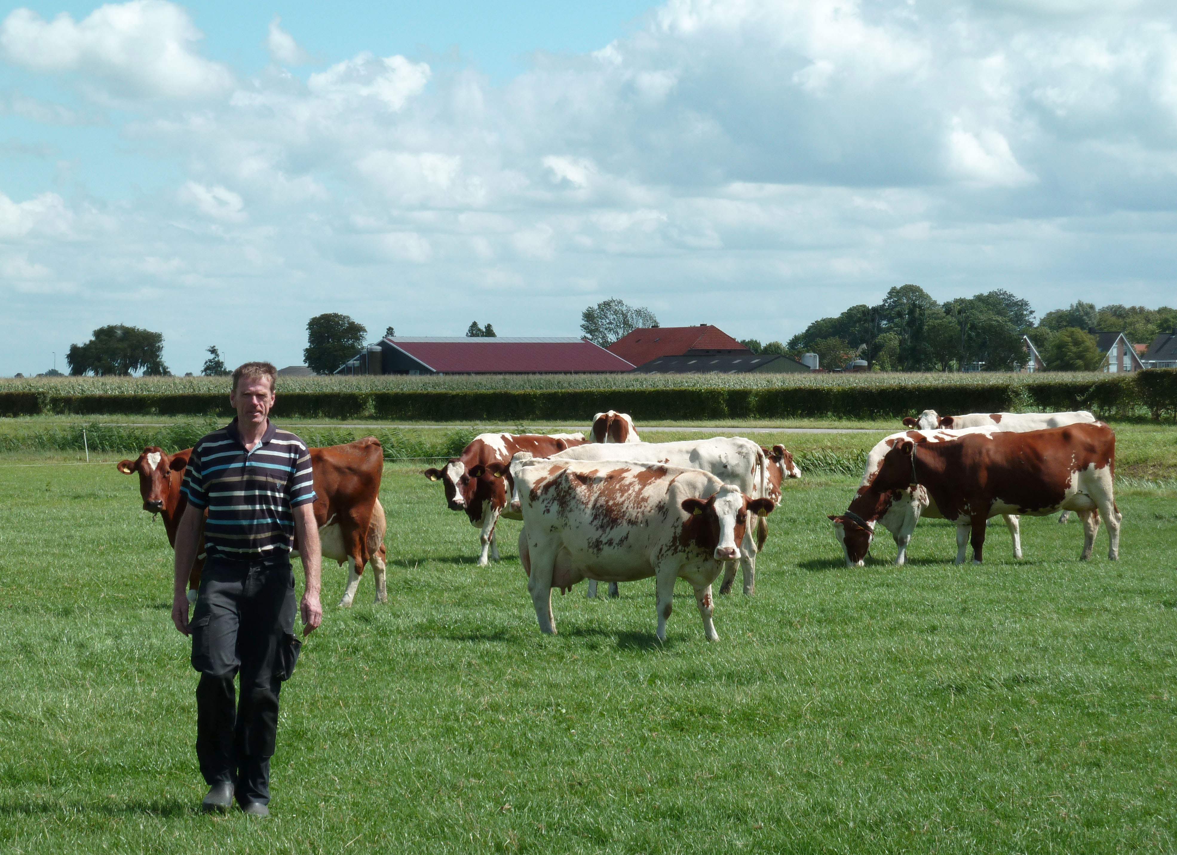 | CHARLOTTE VAN OUWERKERK/AFP