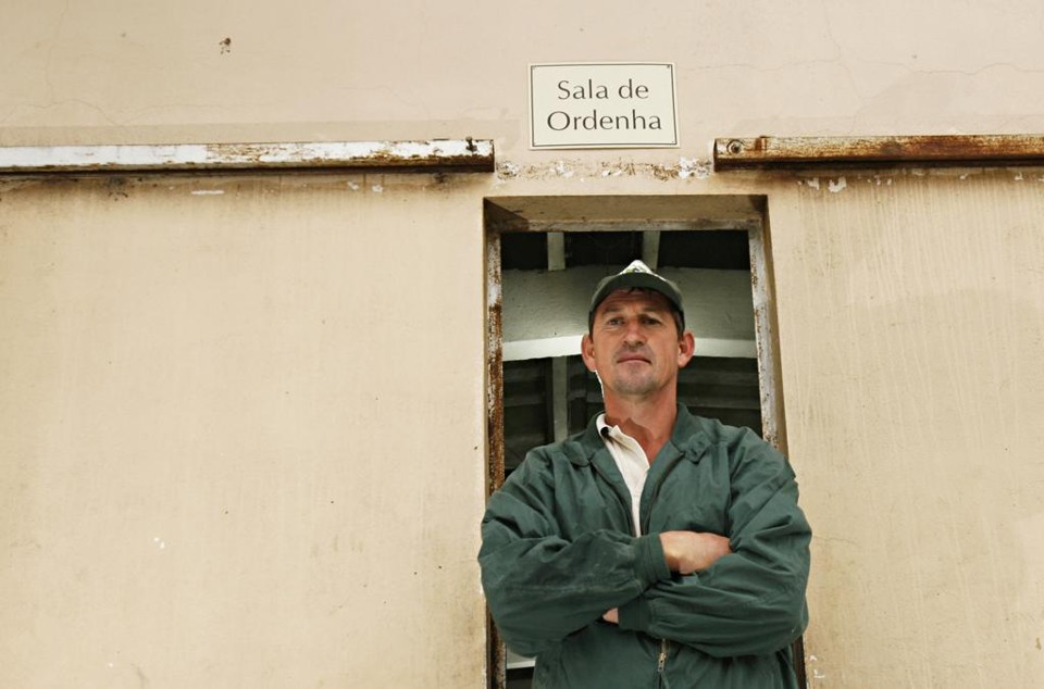 À espera do mercado de leite A2: Egon Kruger  é uma exceção entre os criadores de gado leiteiro e já fez testes para identificar diferenças entre leite A1 e A2 no rebanho.   | Arquivo/Gazeta do Povo