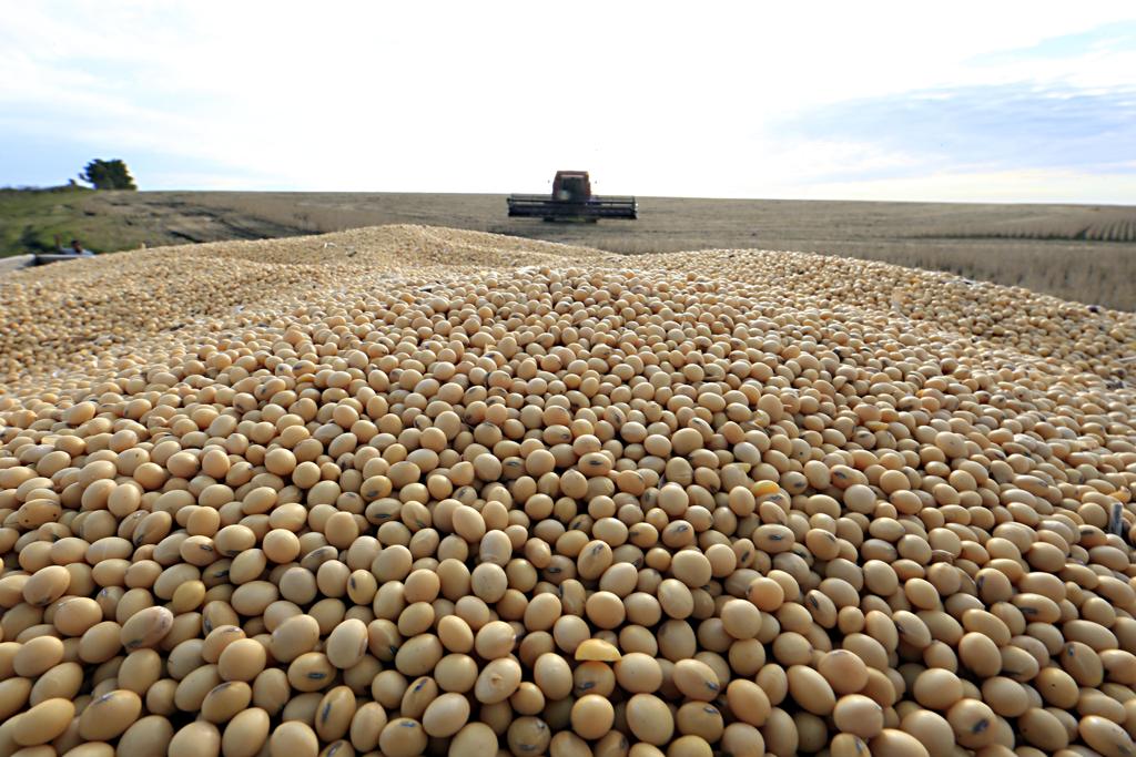 Safra norte-americana de soja baterá novo recorde | Albari Rosa/Gazeta do Povo