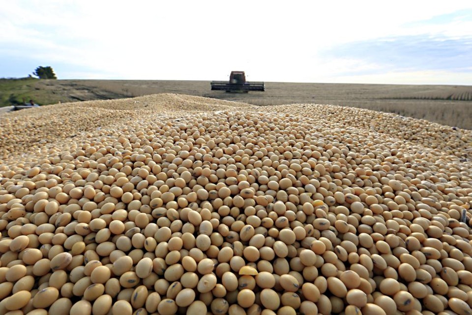 Safra norte-americana de soja baterá novo recorde | Albari Rosa/Gazeta do Povo