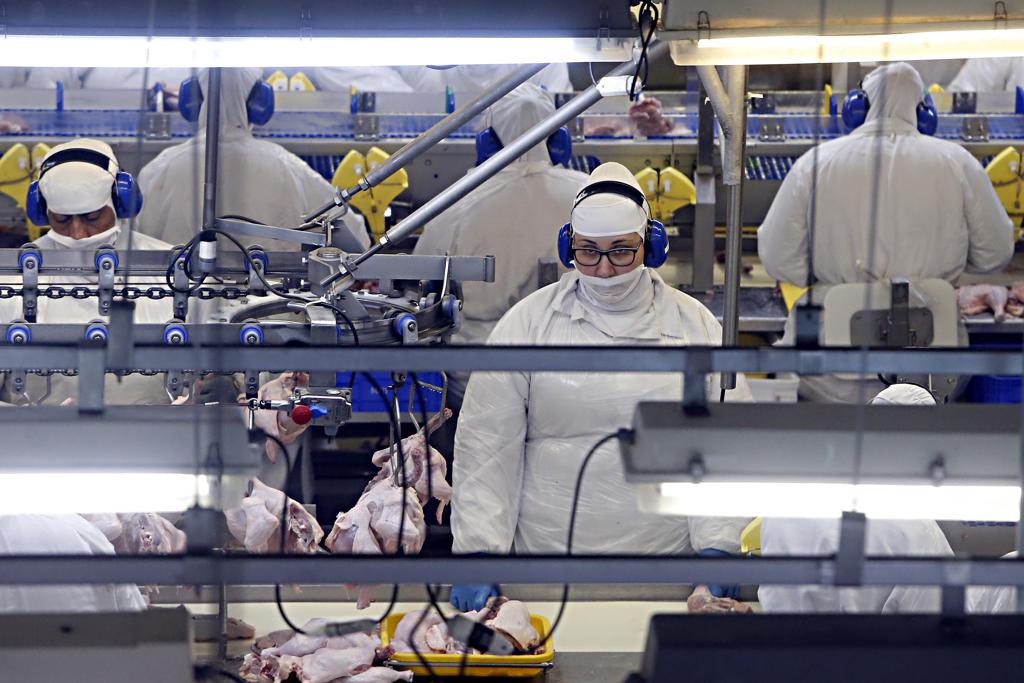 Brasil é o maior exportador mundial de carne de frango | Albari Rosa/Gazeta do Povo