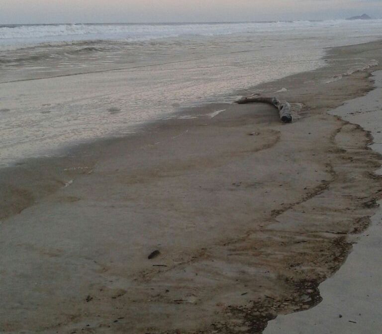 | Divulgação/Corpo de Bombeiros
