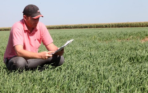 Governo promete crédito rural mais barato Produtores interessados em tomar empréstimos terão acesso a crédito mais barato | Arquivo
/ Gazeta do Povo