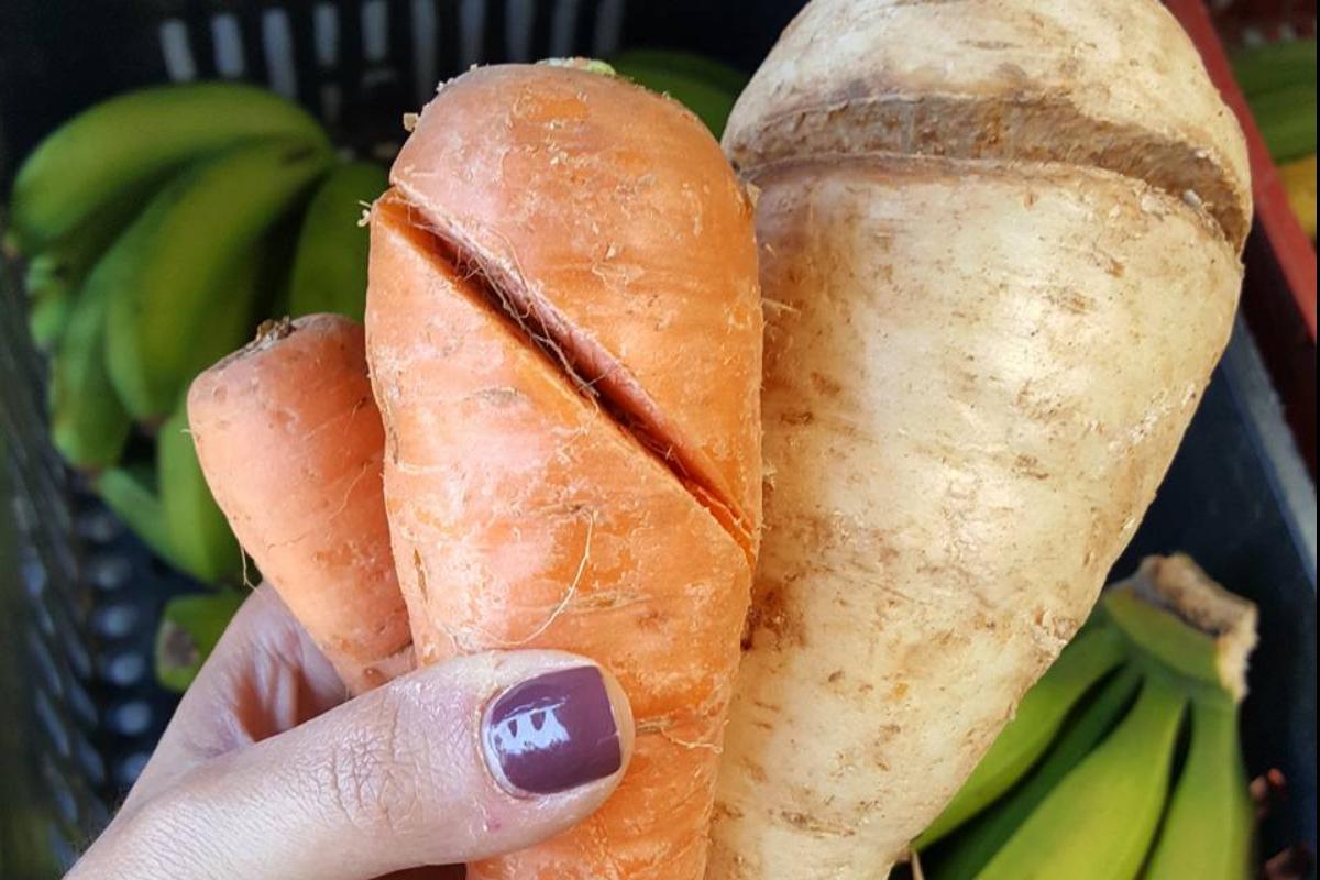 Legumes fora do padrão: alimento não precisa ir para o lixo | Divulgação/ Comida Invisível