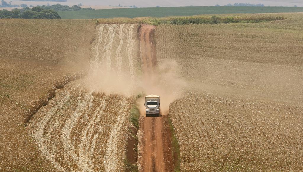 Escoamento de safra: rotas de transporte de milho estão mais caras devido à supersafra. | HUGO HARADA/GAZETA DO POVO