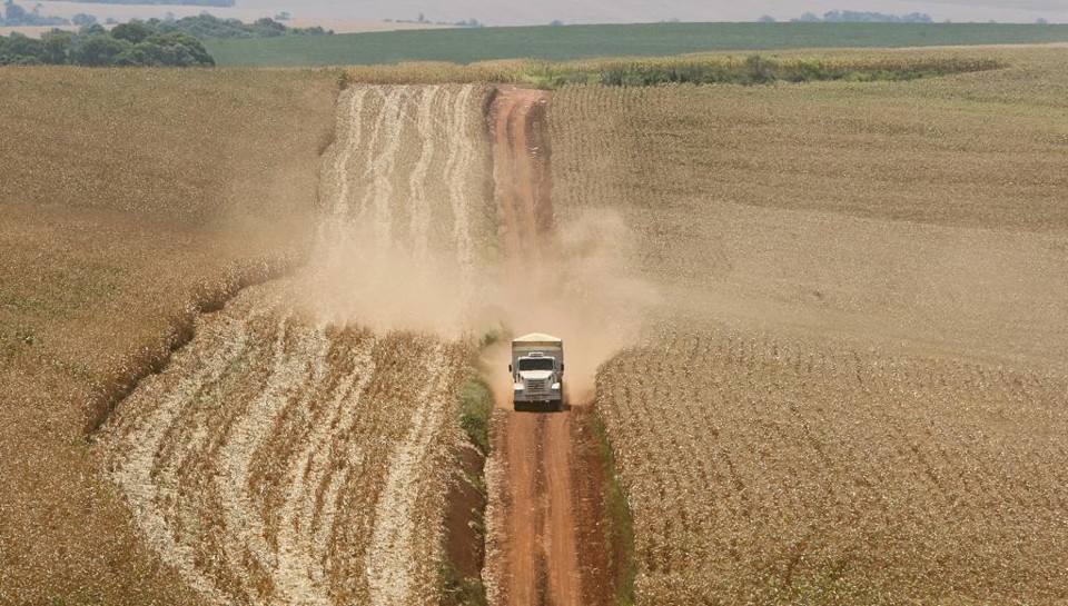 Escoamento de safra: rotas de transporte de milho estão mais caras devido à supersafra. | HUGO HARADA/GAZETA DO POVO