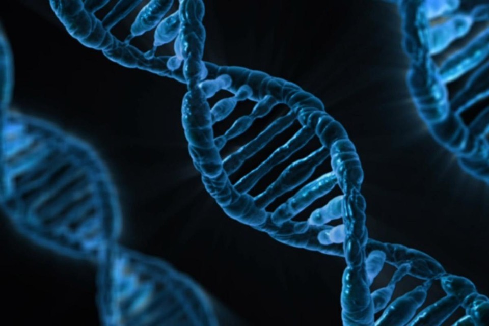 CRISPR é um novo sistema de edição de genes que permite aos cientistas alterar o DNA de organismos vivos | Pixabay