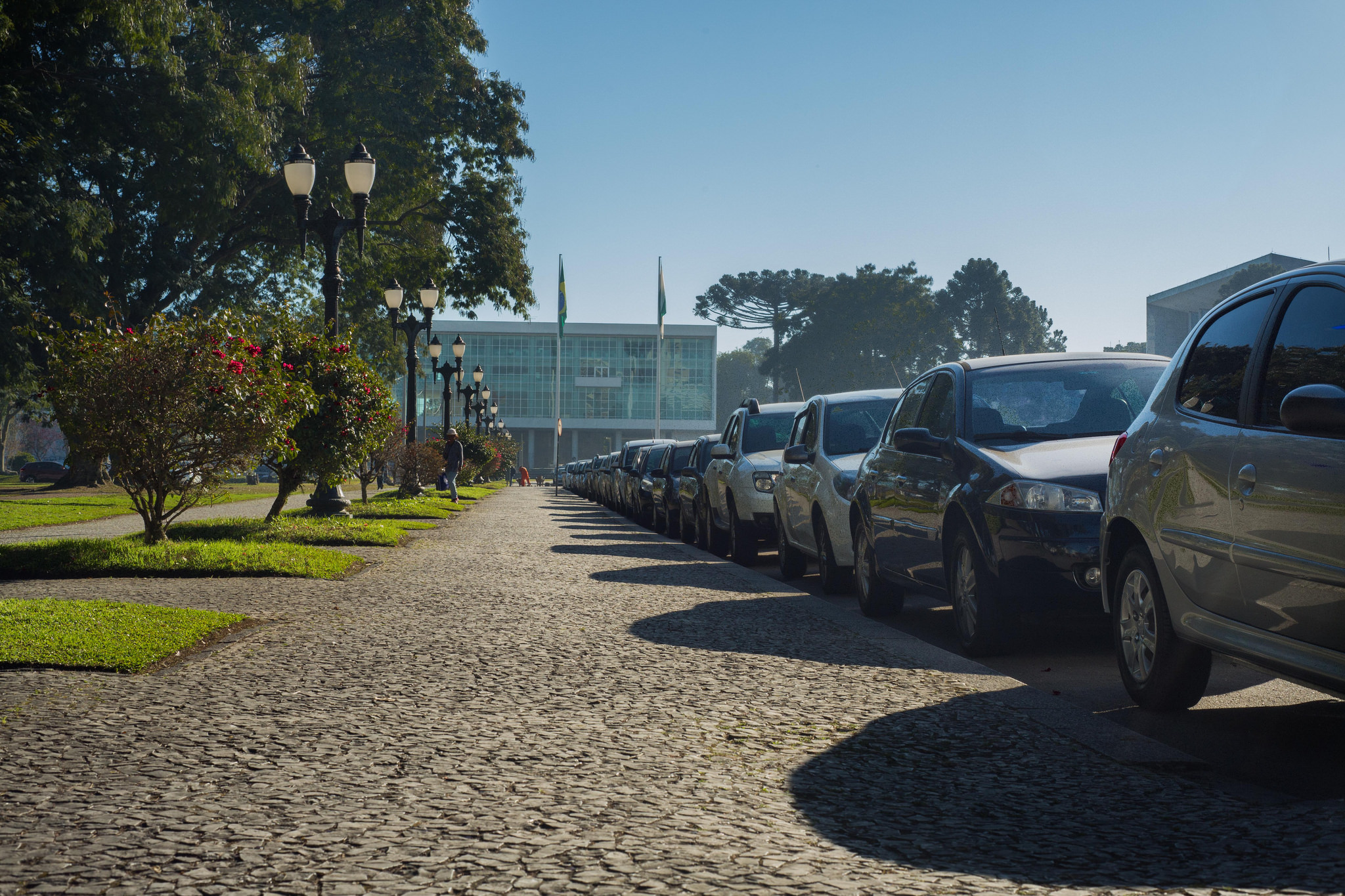 Muitos veículos passam o dia todo na mesma vaga ao redor de prédios públicos | Divulgação/Rafael Bertelli