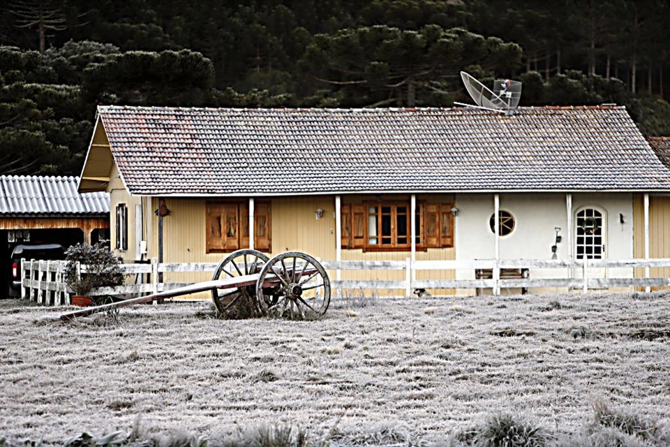 Apesar da estimativa de safra recorde, geadas ainda podem prejudicar lavouras do Paraná  neste inverno | Albari Rosa/Gazeta do Povo