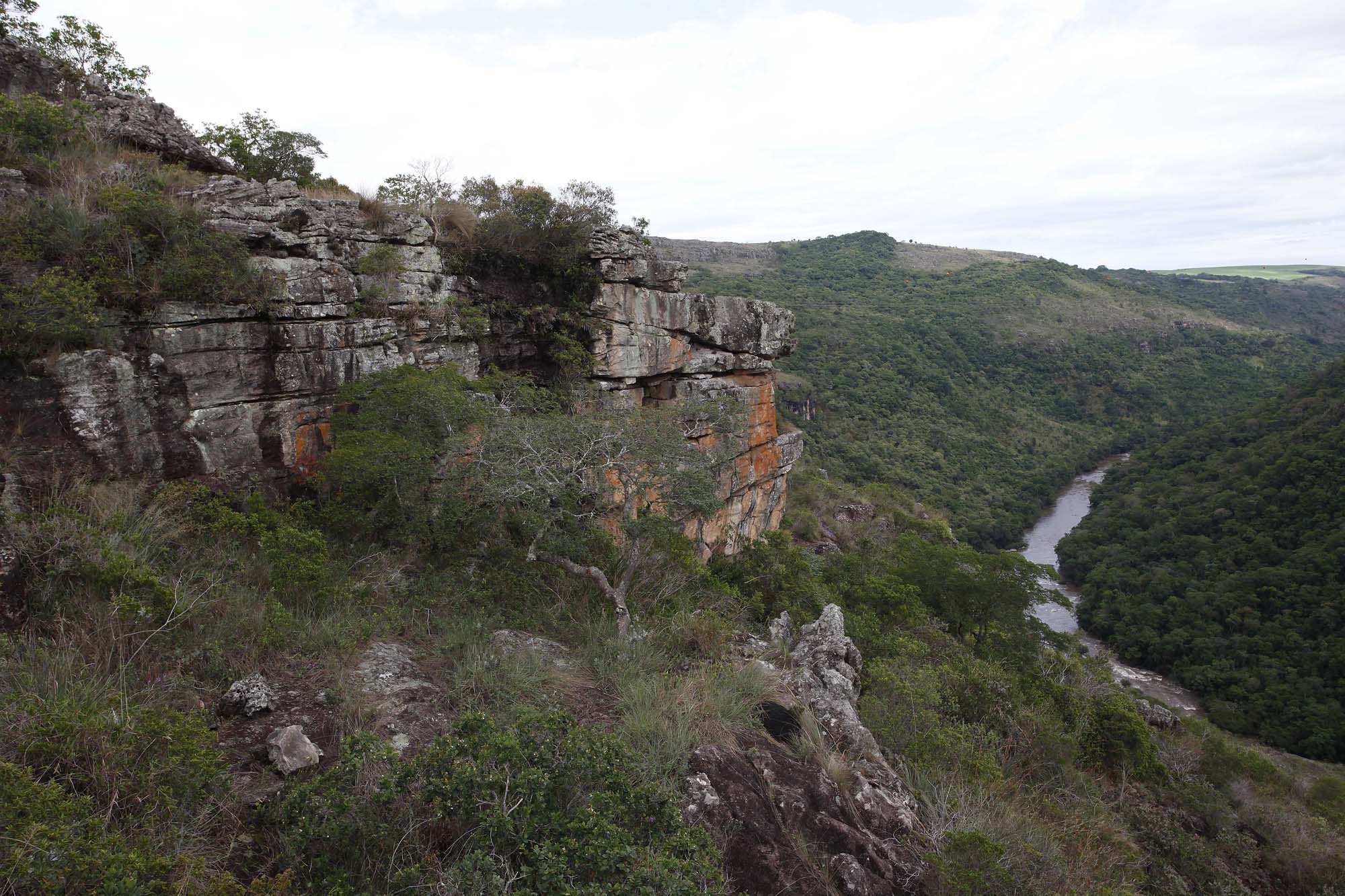  | Jonathan Campos/Gazeta do Povo