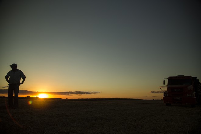 5º Fórum de Agricultura da América do Sul terá como tema: “Sucessão, gestão e tecnologia. É o campo do futuro e em transformação” | Marcelo Andrade / Gazeta do Povo
