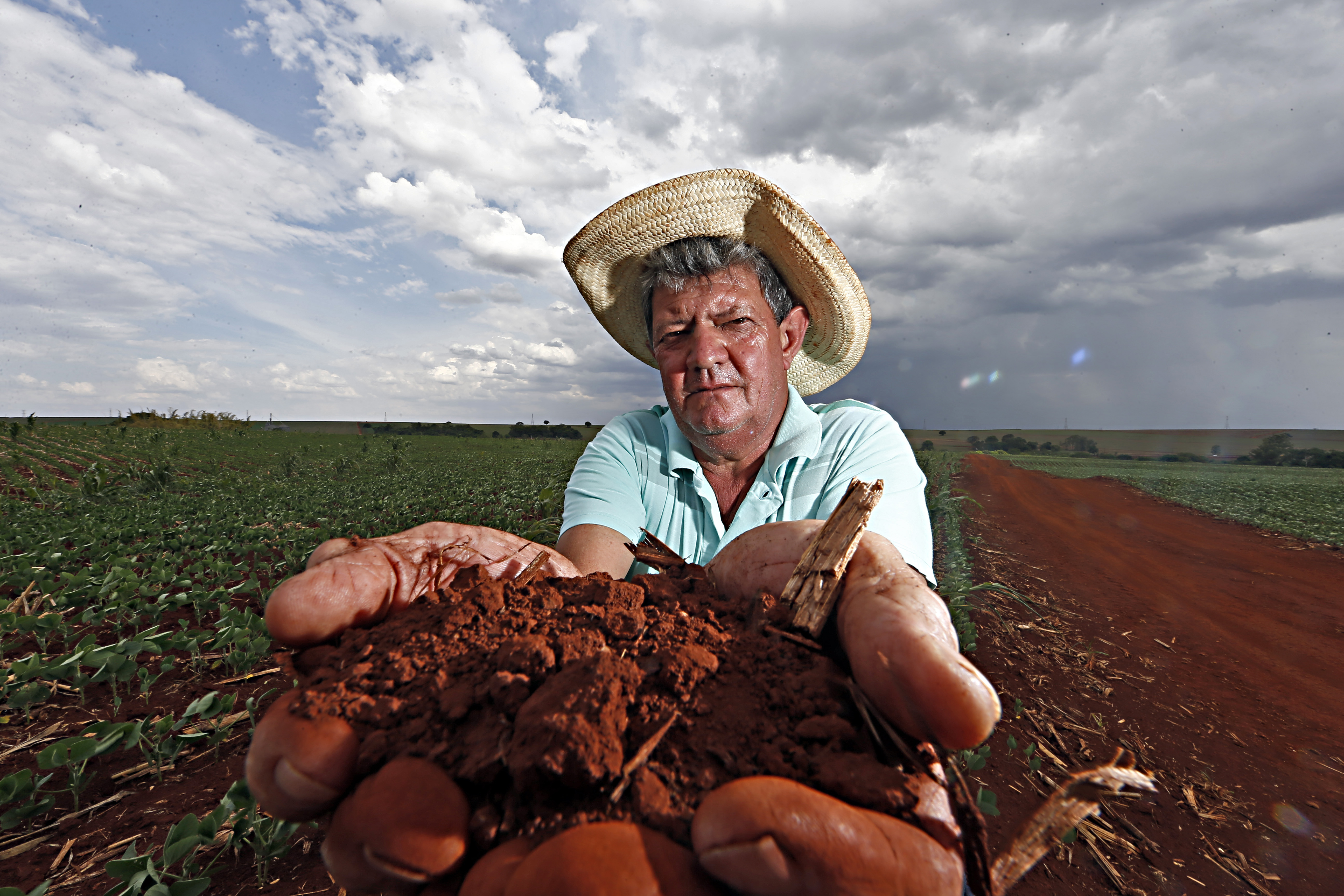 O senhor Eliseu Martins segura terra seca em Cândido Mota, interior de São Paulo | Albari Rosa/Gazeta do Povo