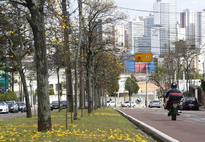 | Aniele Nascimento/Gazeta do Povo