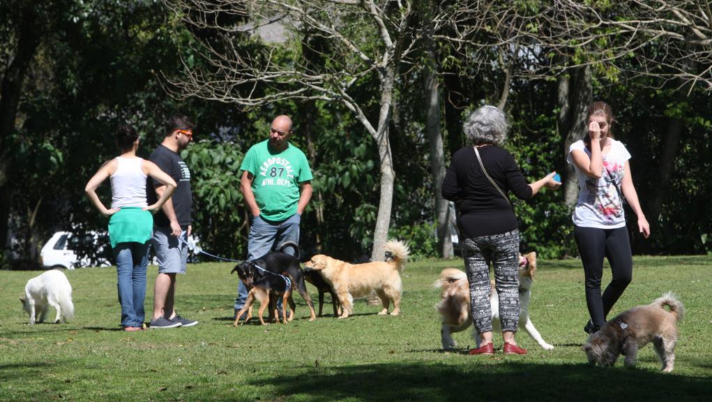 | Aniele Nascimento/Gazeta do Povo