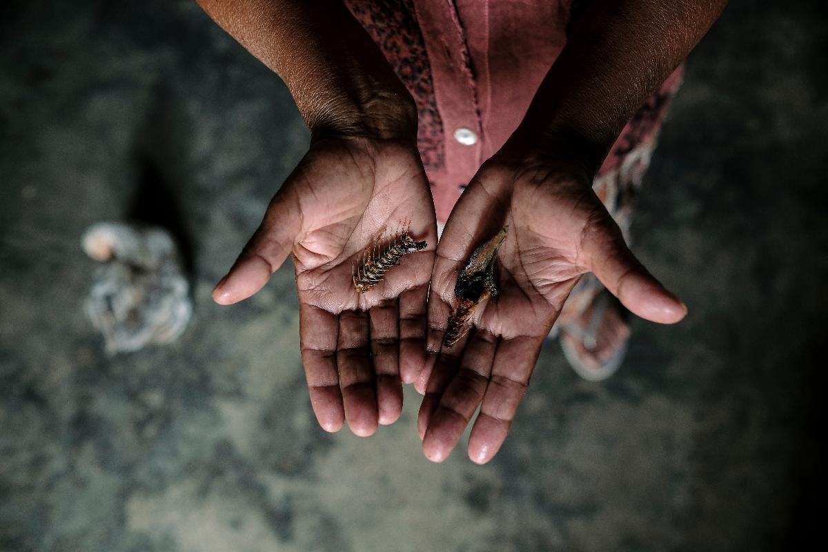 Moradora de vilarejo em Honduras segura esqueleto de peixe que supostamente teria caído do céu durante uma tempestade | ADRIANA ZEHBRAUSKAS/NYT