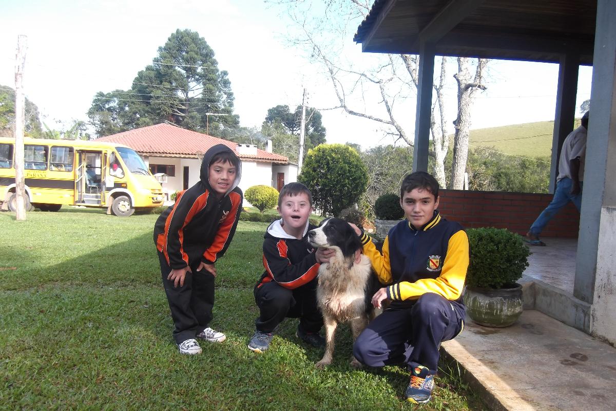 Crianças e cães interagem durante visita ao veterinário | Acervo Pessoal