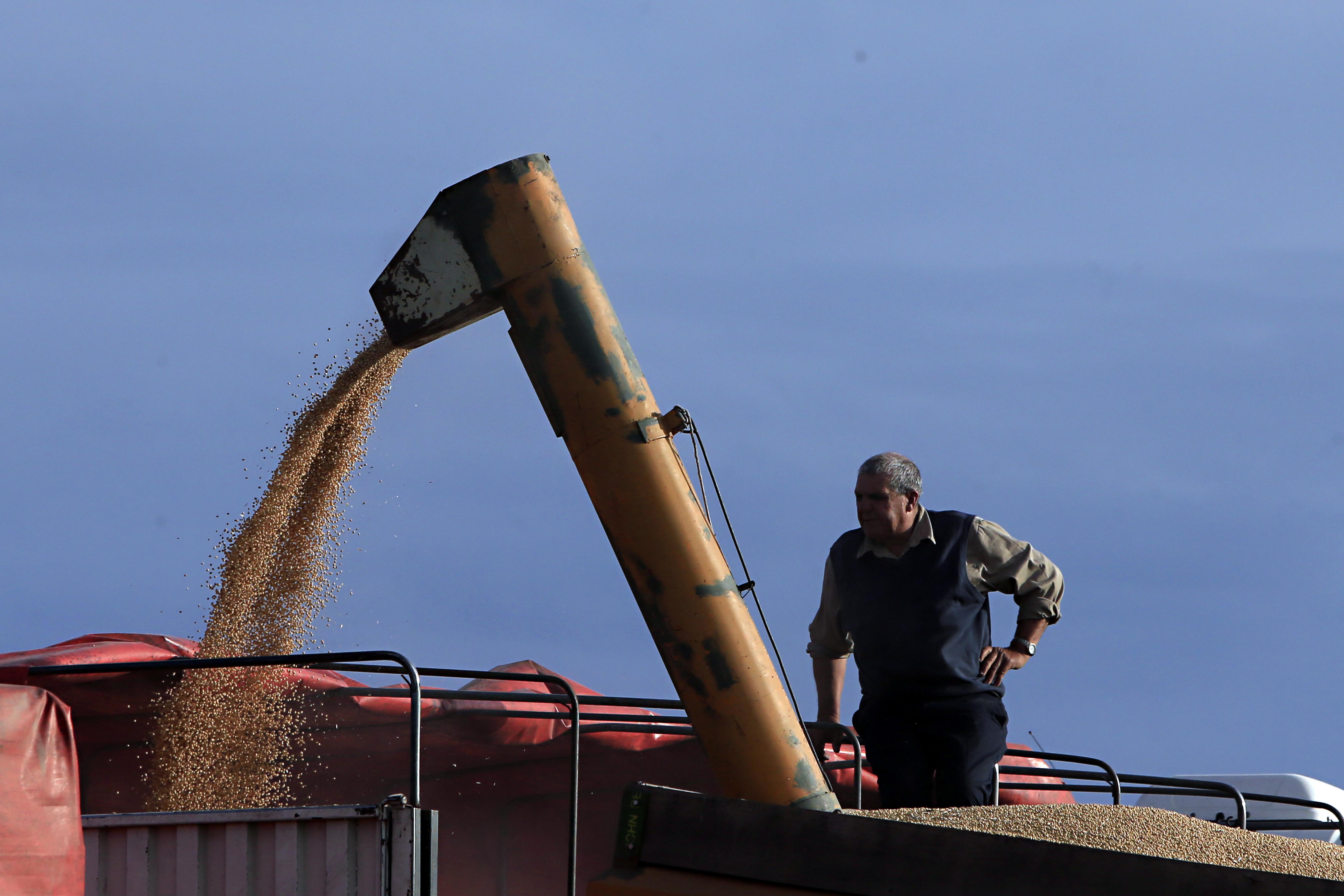 Em 2016, a safra atingiu 184,7 milhões de toneladas, o que representa 57,4 milhões de toneladas a menos do que a deste ano | Albari Rosa/Gazeta do Povo
